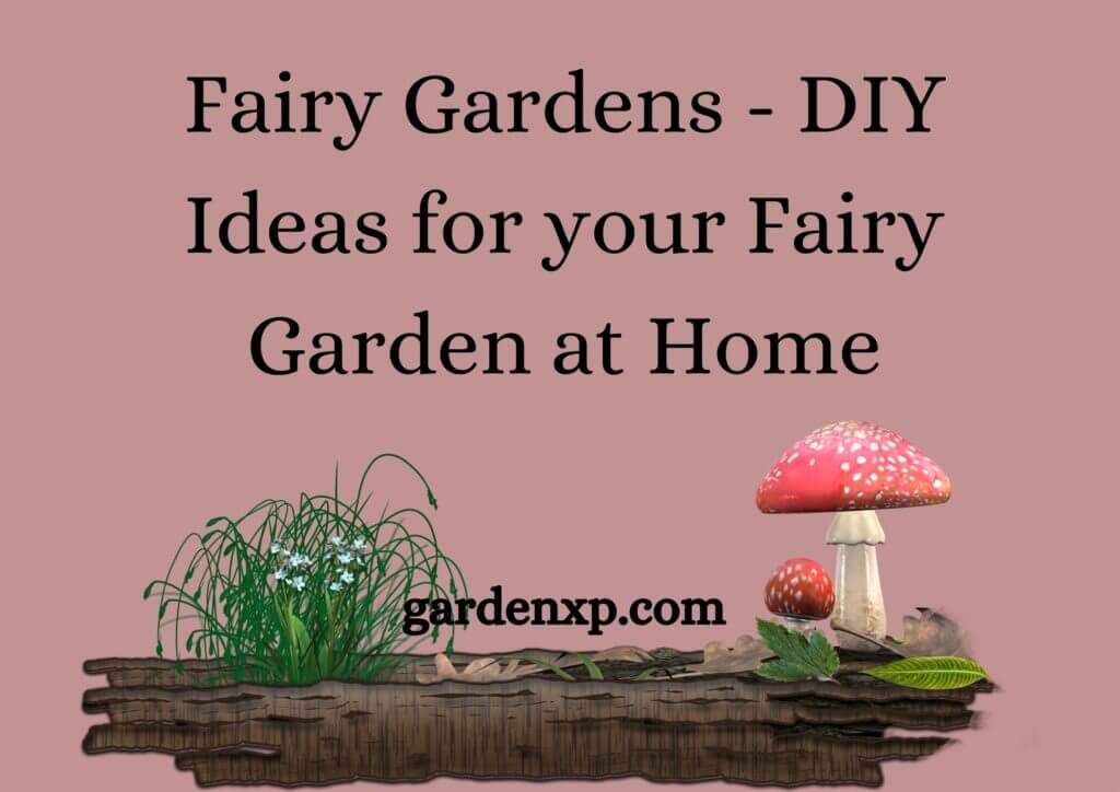 Fairy Gardens - DIY Ideas for your Fairy Garden at Home