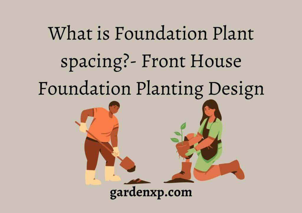 What is Foundation Plant spacing?- Front House Foundation Planting Design