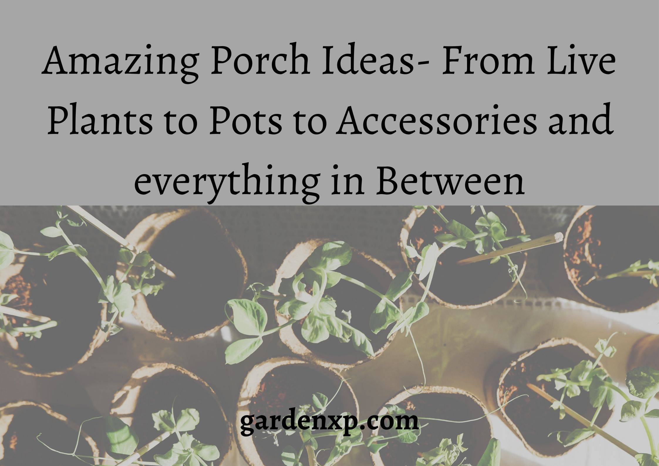 Porch Plant Ideas Live Plants Pots and Accessories for Porch Porch ideas