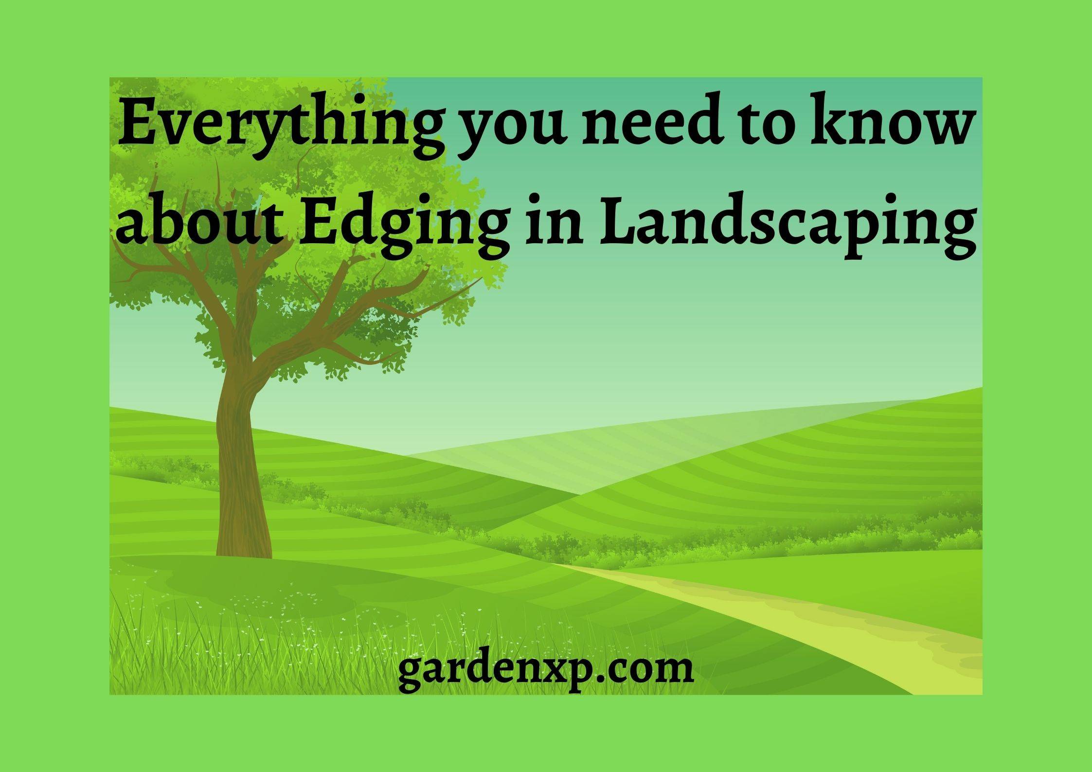 What is Edging in Landscaping?