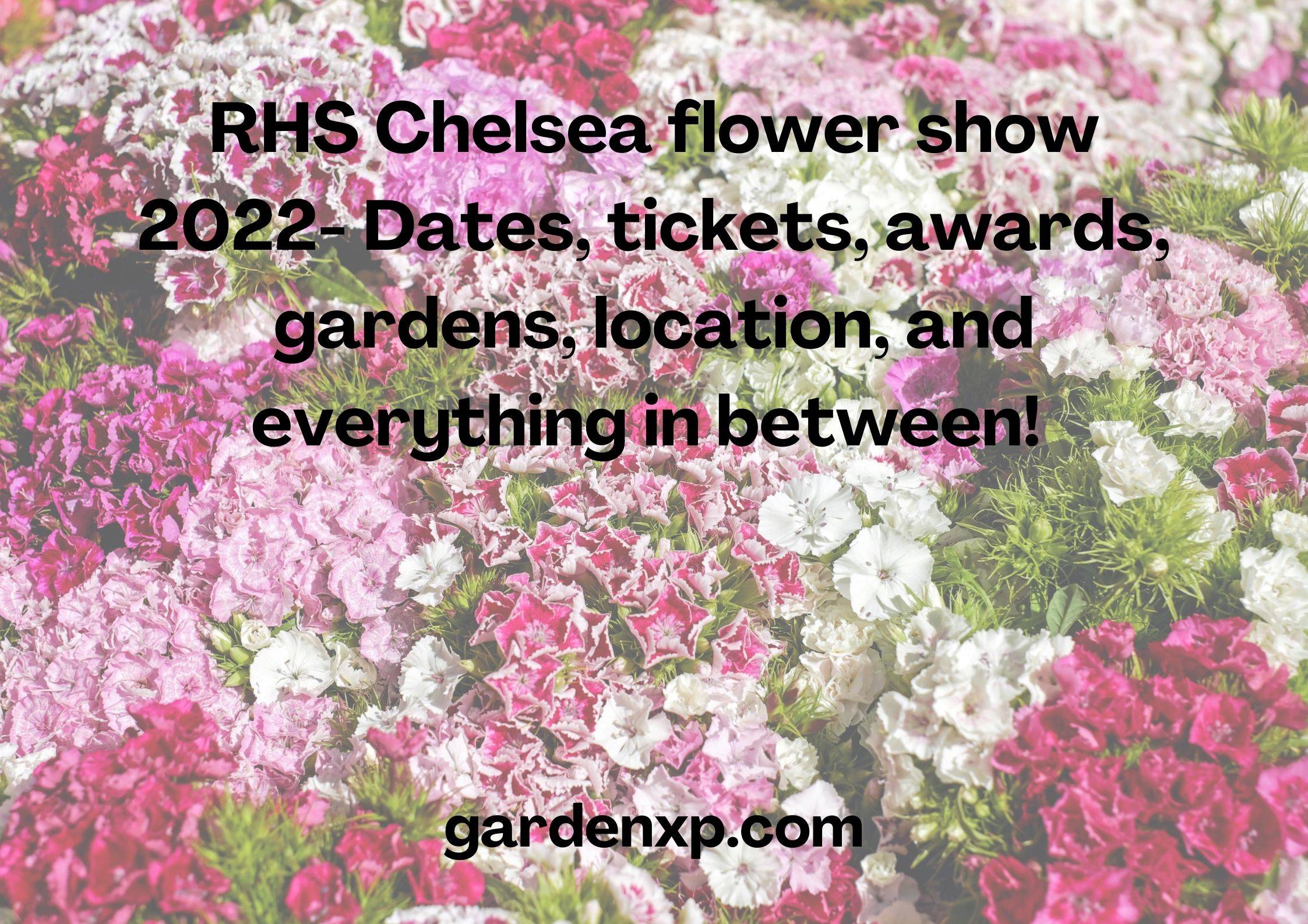 Chelsea Flower Show 2022