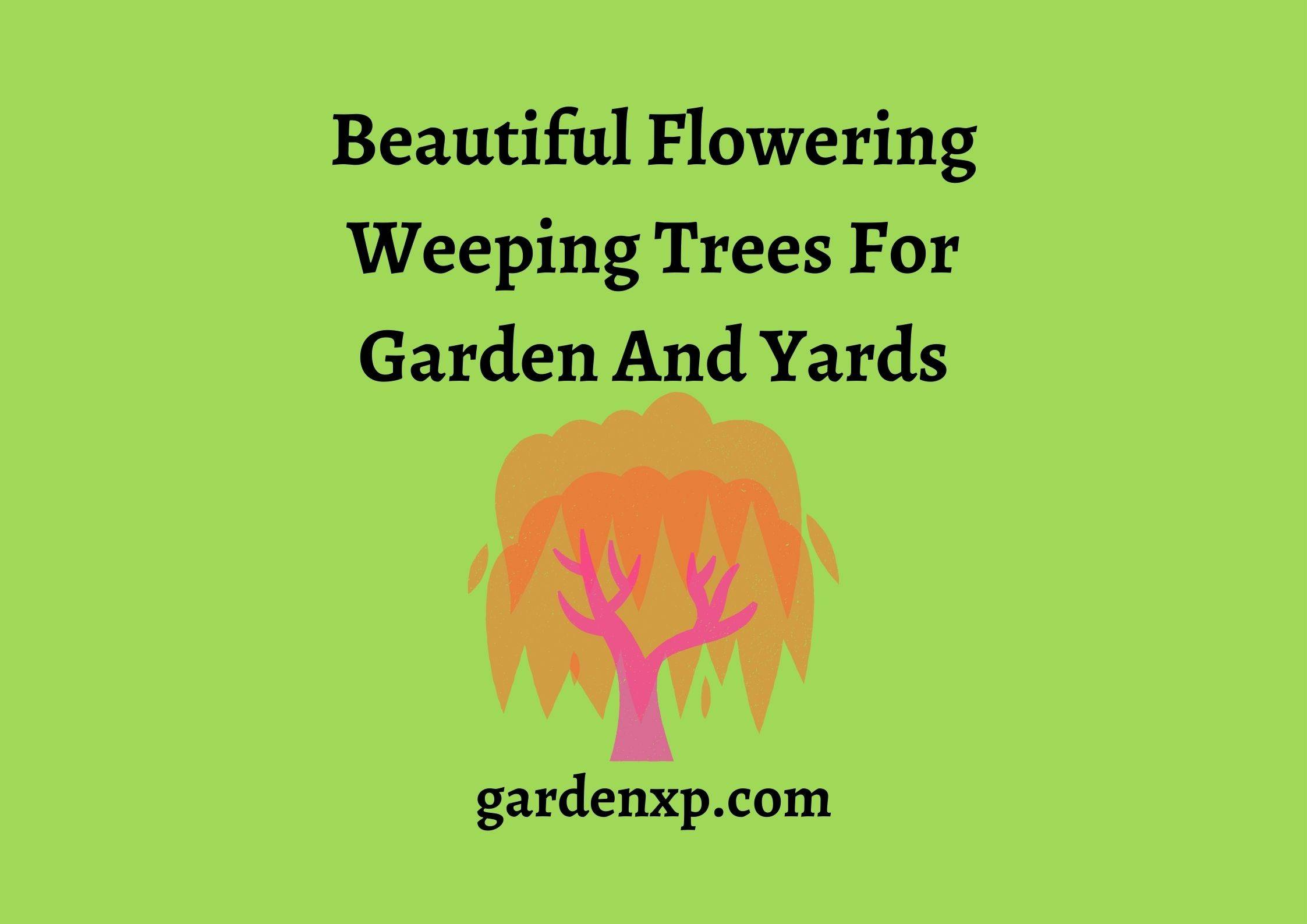 Best Blooming Weeping Trees with Flowers - Colorful Flower Weeping Trees List