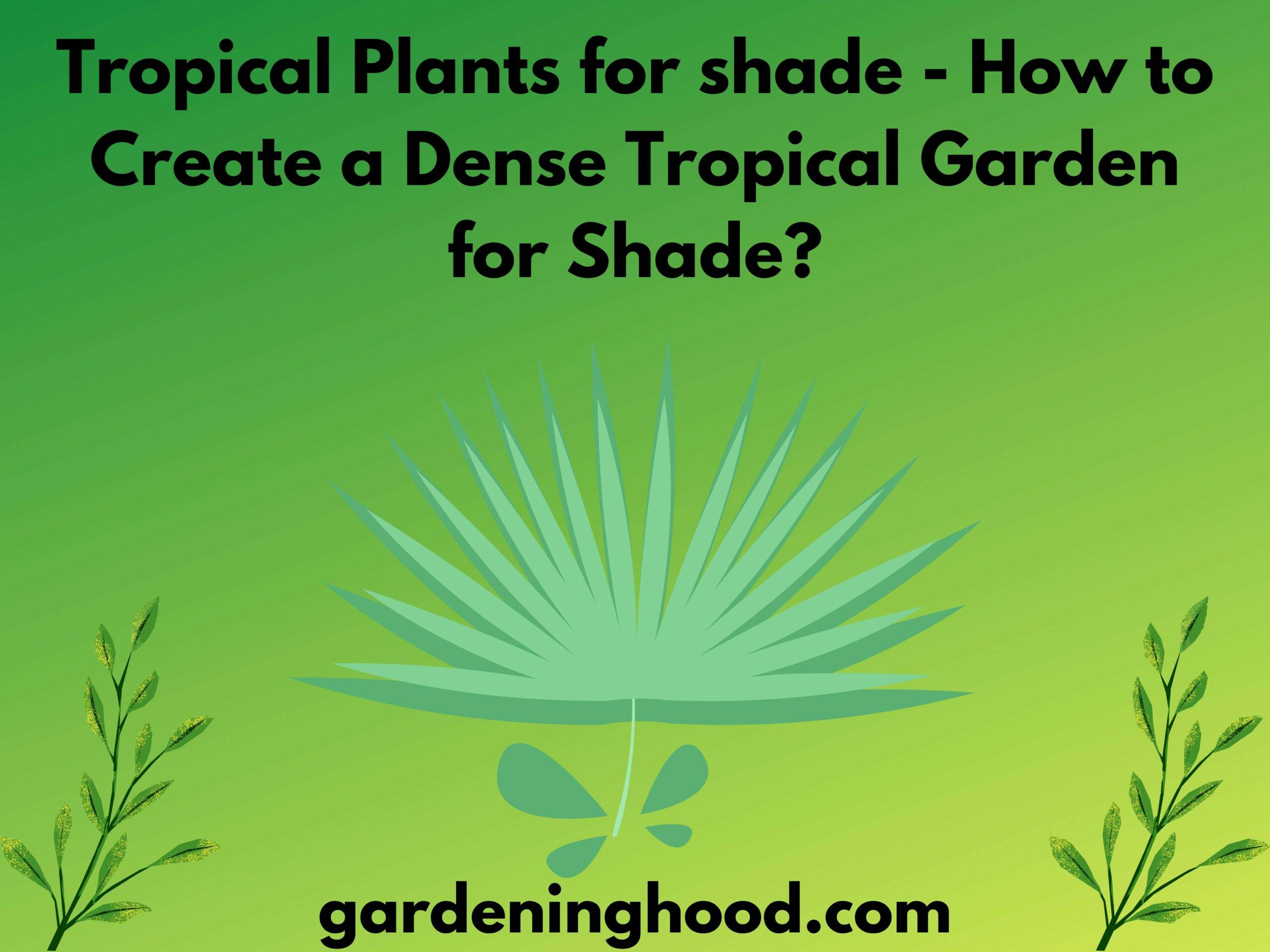 Tropical Plants for shade - How to Create a Dense Tropical Garden for Shade?