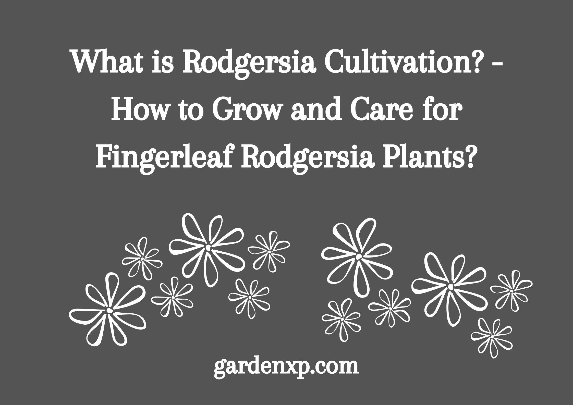 What is Rodgersia Cultivation? - How to Grow and Care for Fingerleaf Rodgersia Plants?