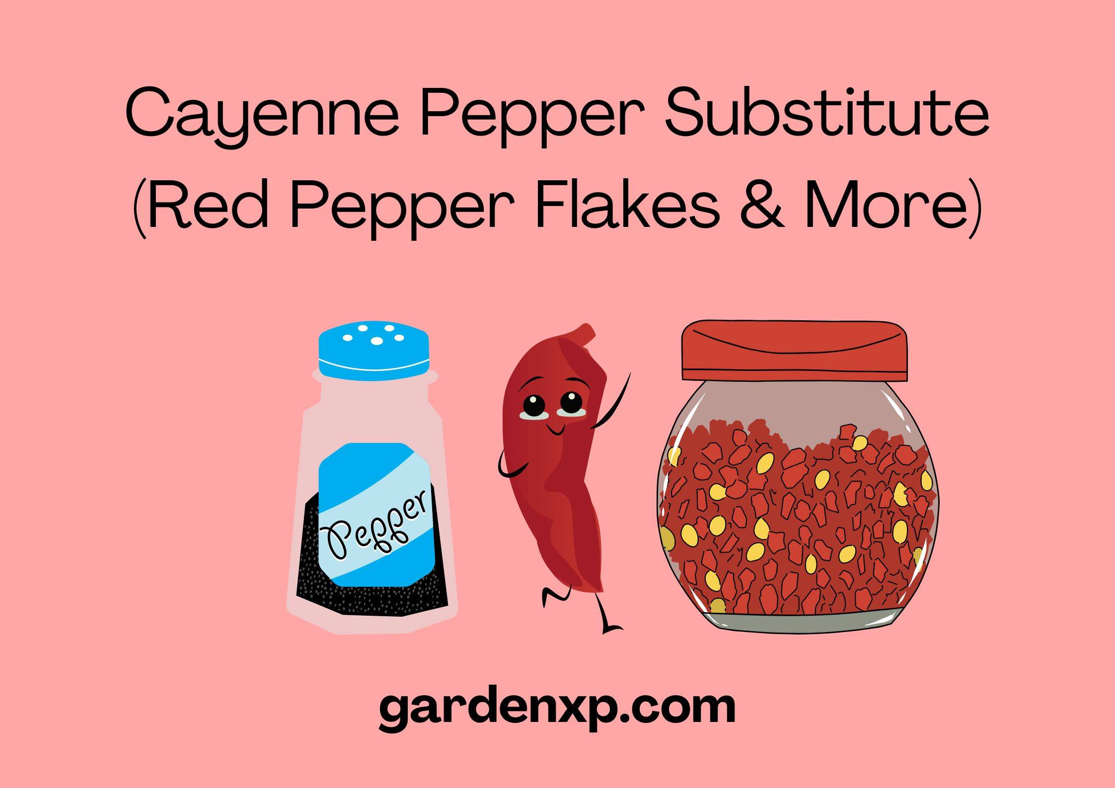 Cayenne Pepper Substitutes (Red Pepper Flakes & More)