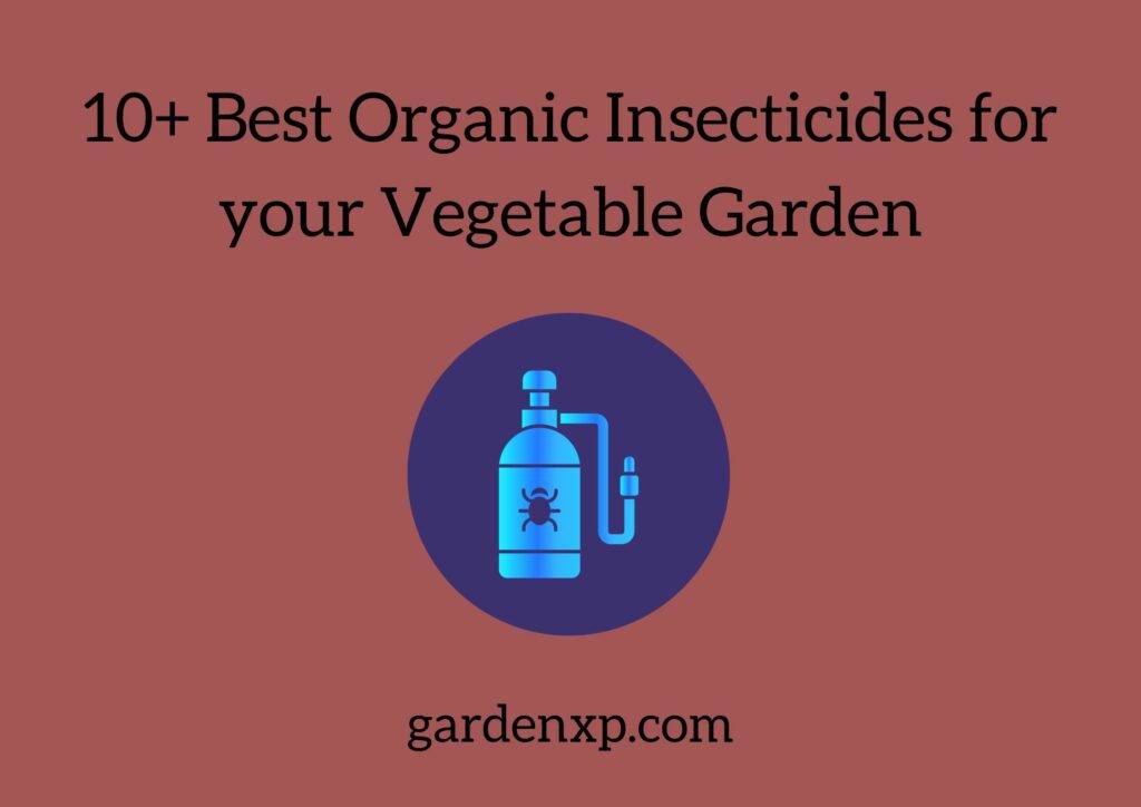 10+ Best Organic Insecticides for your Vegetable Garden