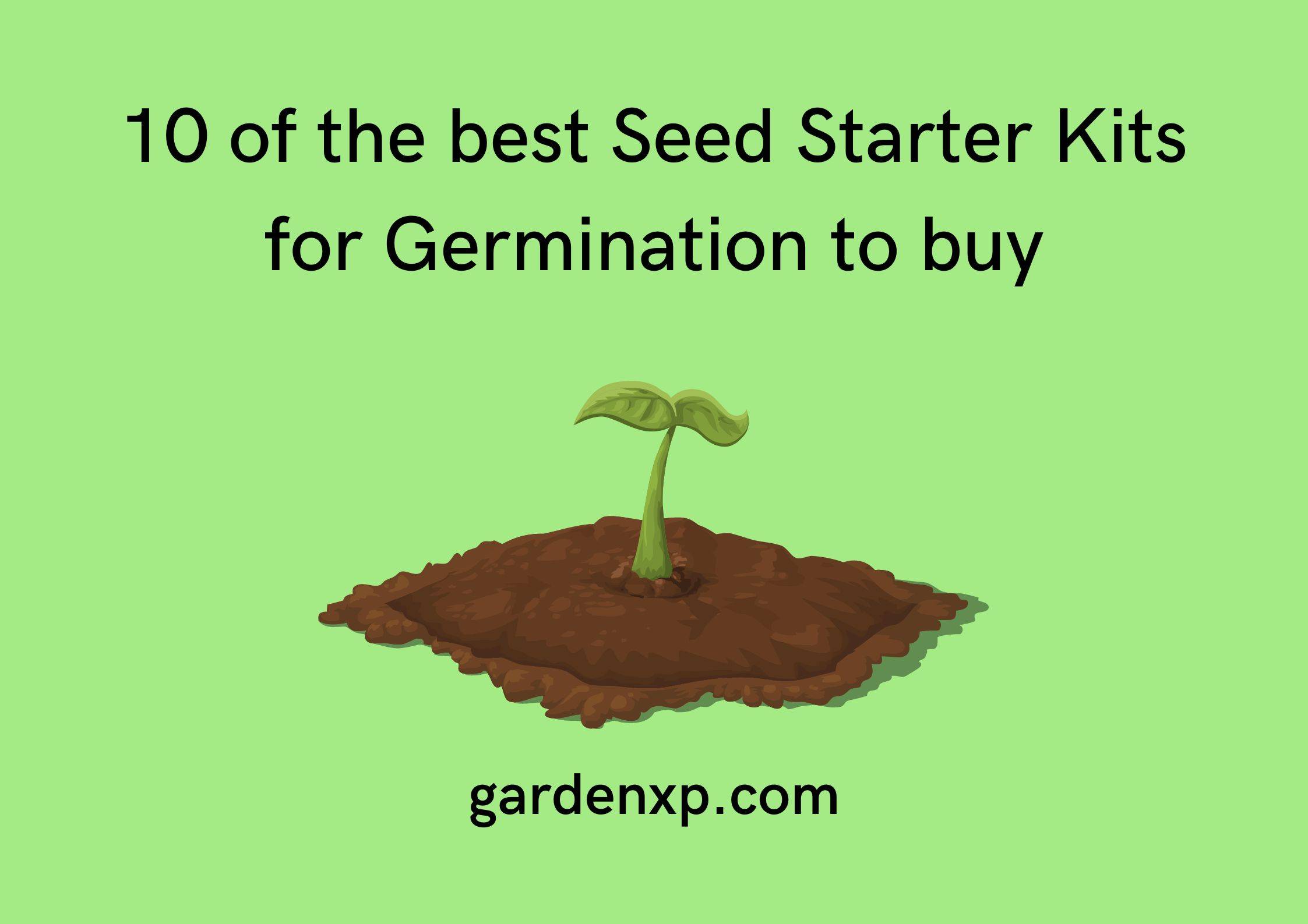 10 of the best Seed Starter Kits for Germination to buy