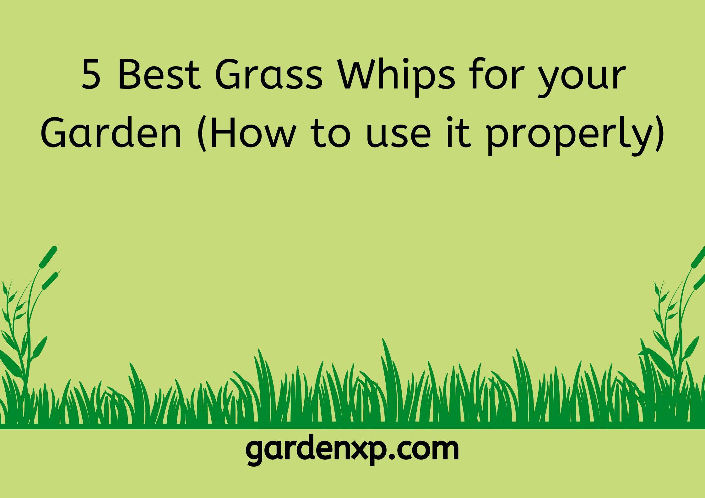 5 Best Grass Whips for your Garden (How to use it properly)