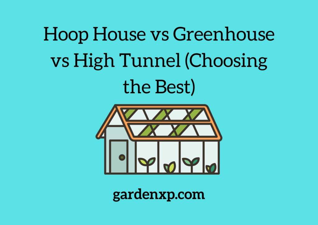 Hoop House vs Greenhouse vs High Tunnel (Choosing the Best)