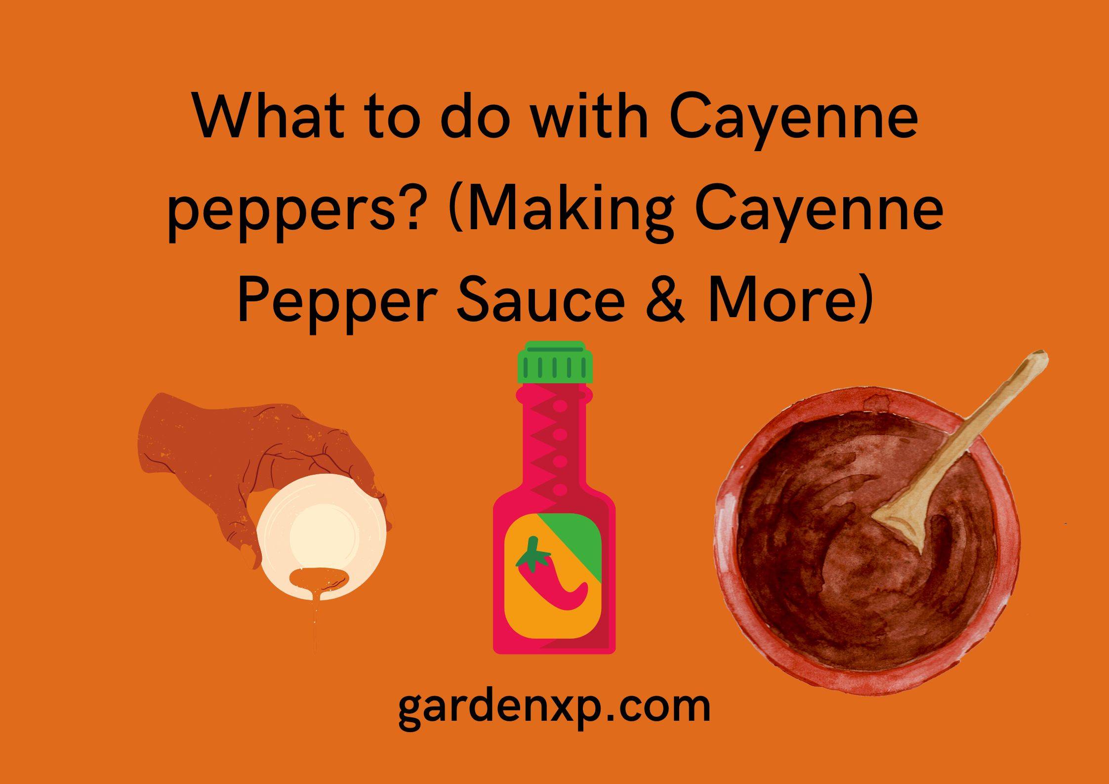 What to do with cayenne peppers? (Making Cayenne Pepper Sauce & More)