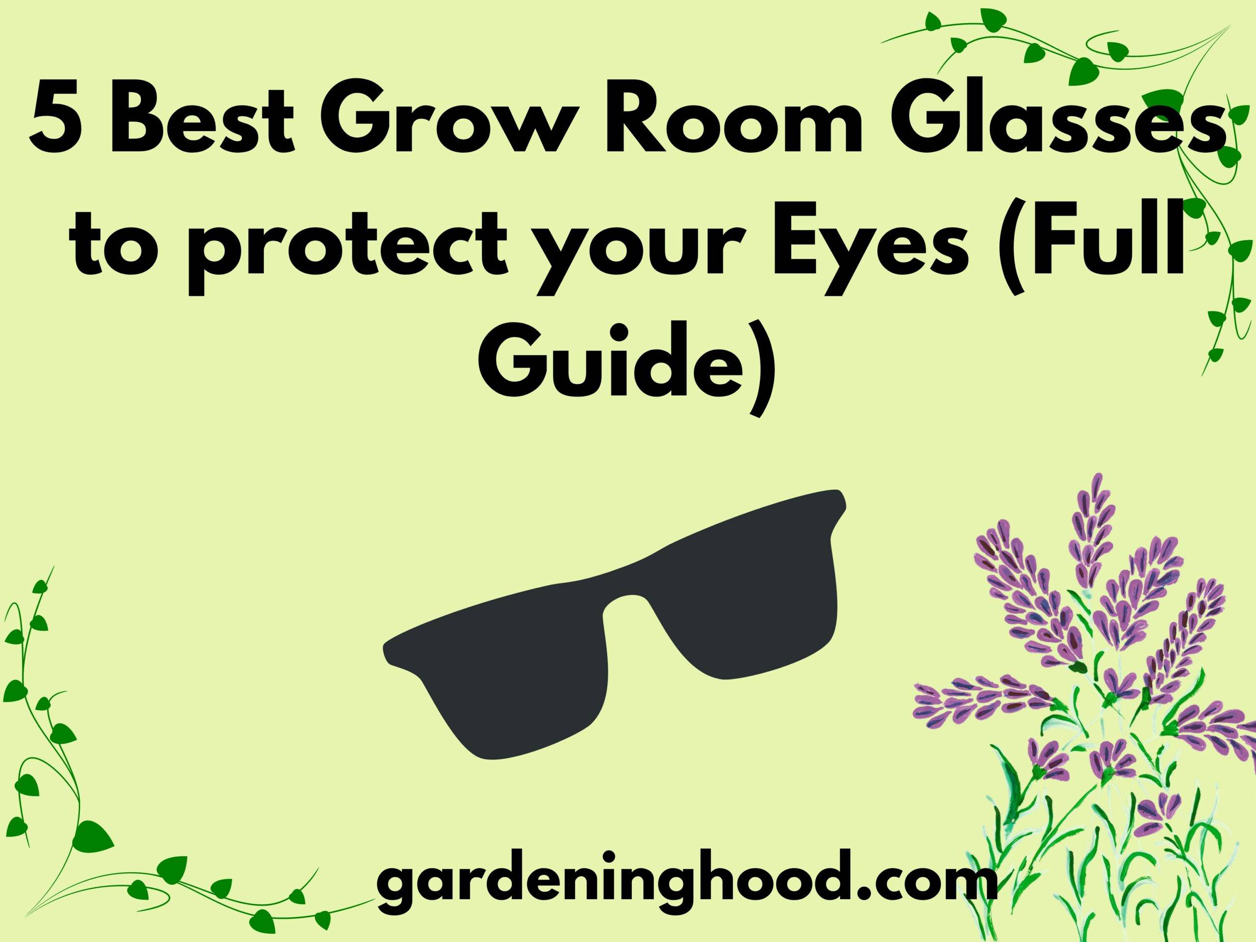 5 Best Grow Room Glasses to protect your Eyes (Full Guide)