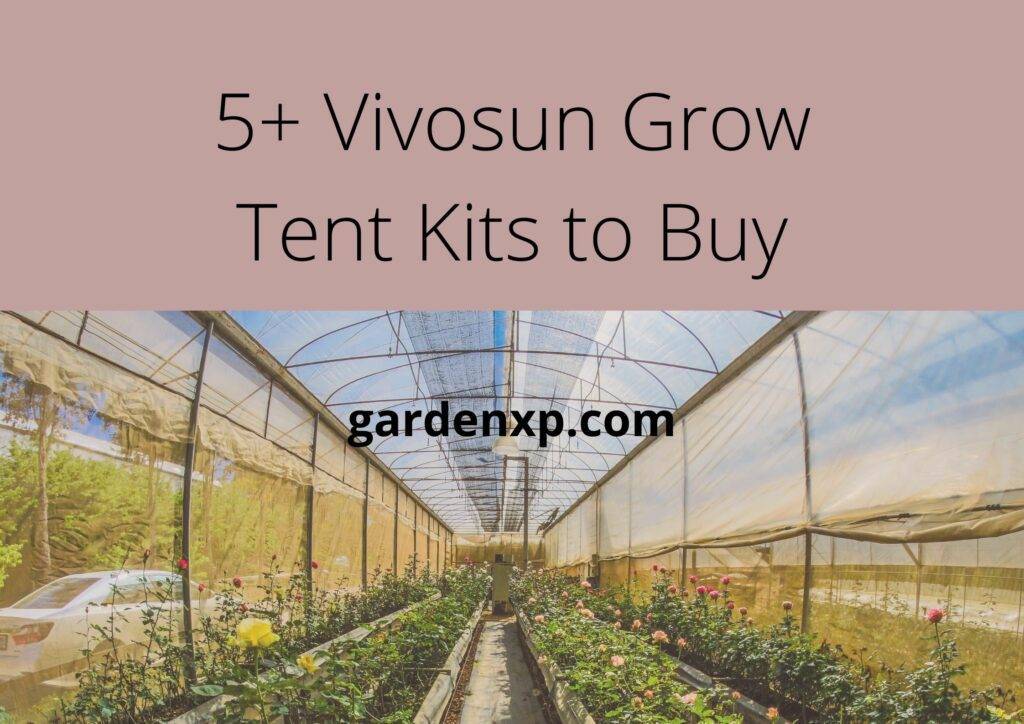 5+ Vivosun Grow Tent Kits to Buy