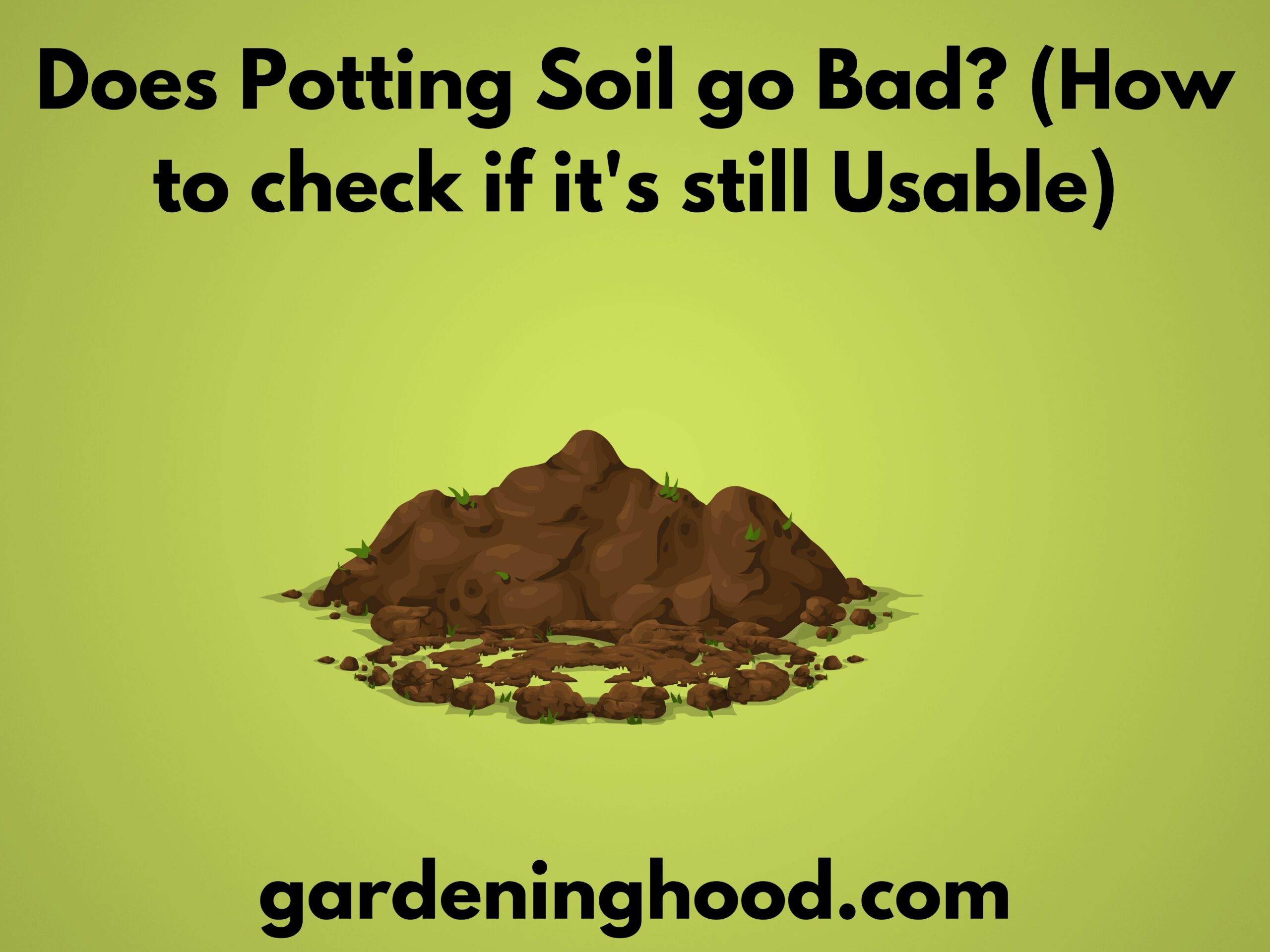 Does Potting Soil go Bad? (How to check if it's still Usable)