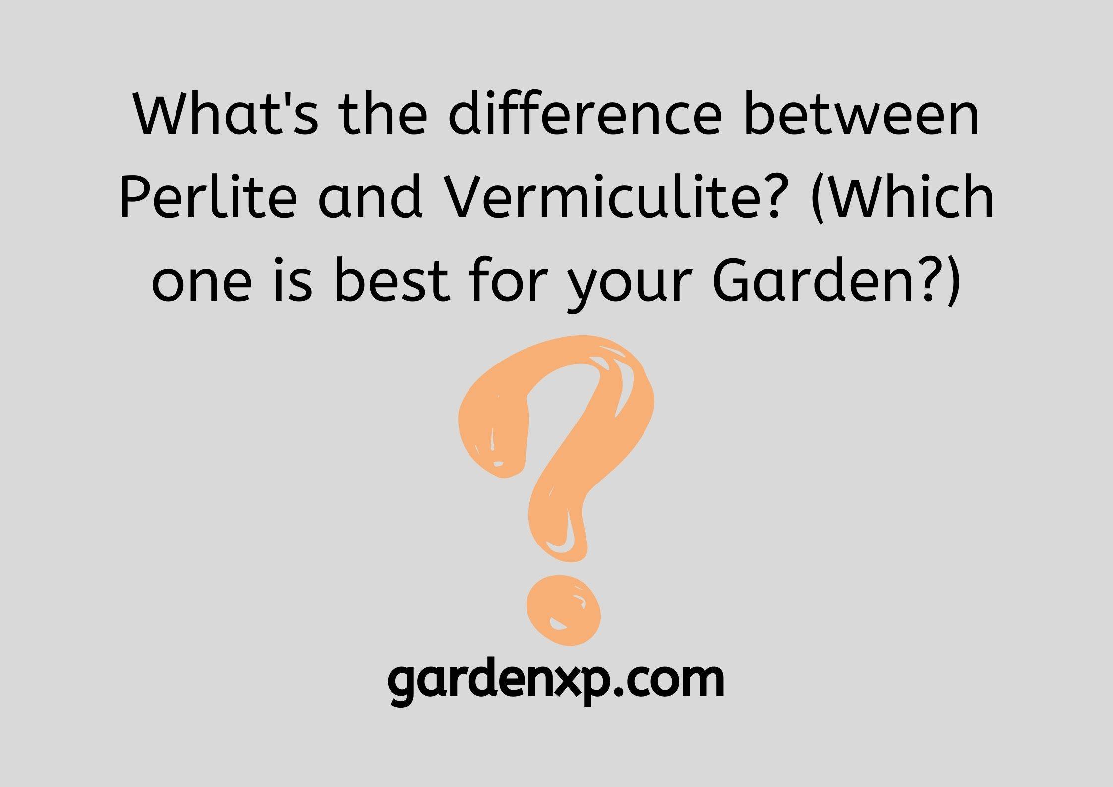 What's the difference between Perlite and Vermiculite? (Which one is best for your Garden?)