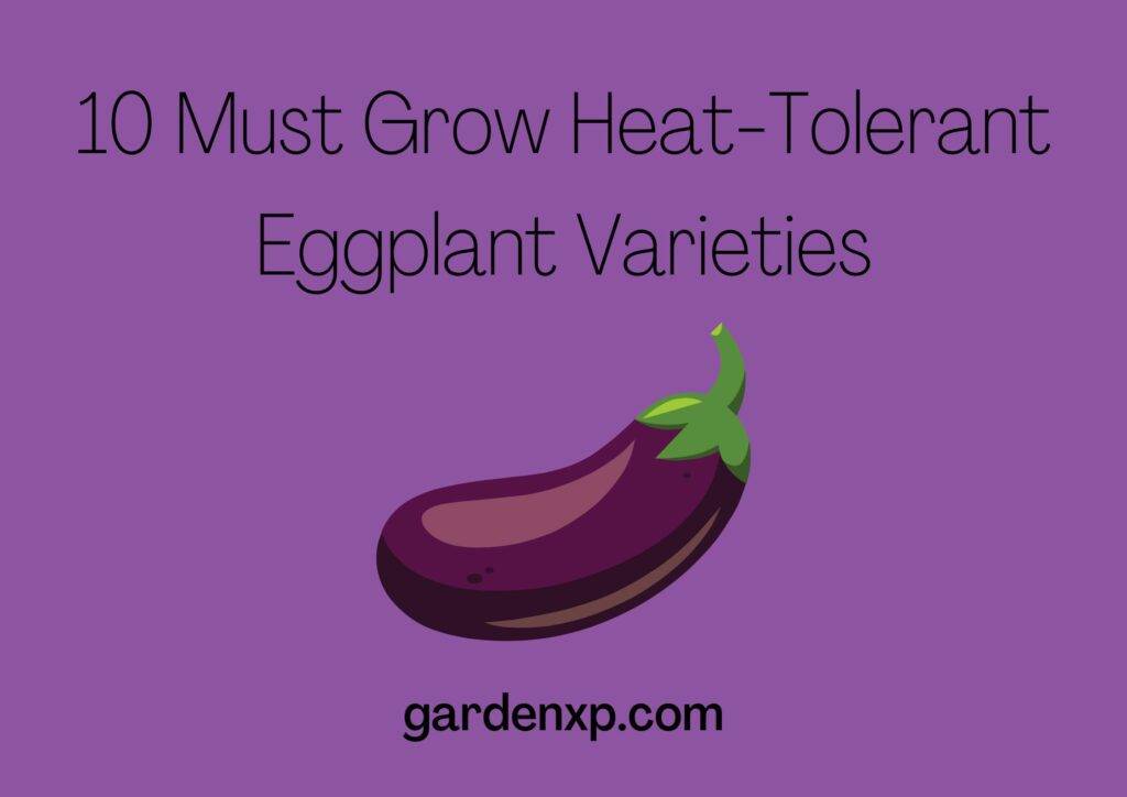 10 Must Grow Heat-Tolerant Eggplant Varieties