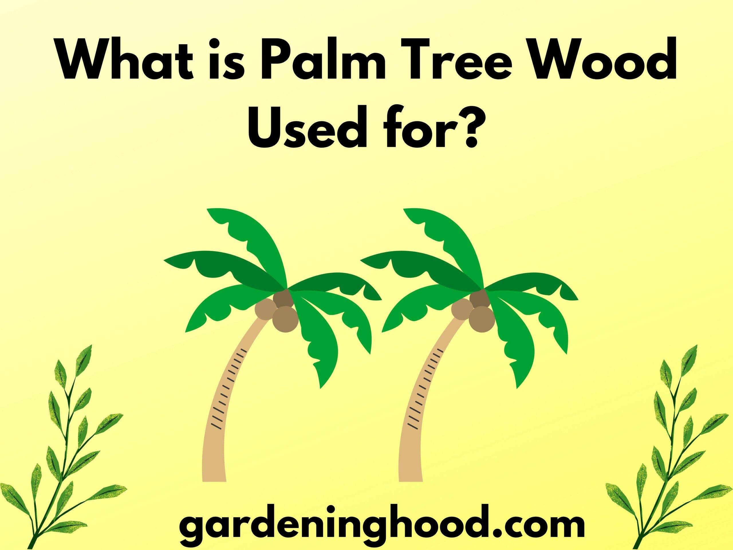 What is Palm Tree Wood Used for?