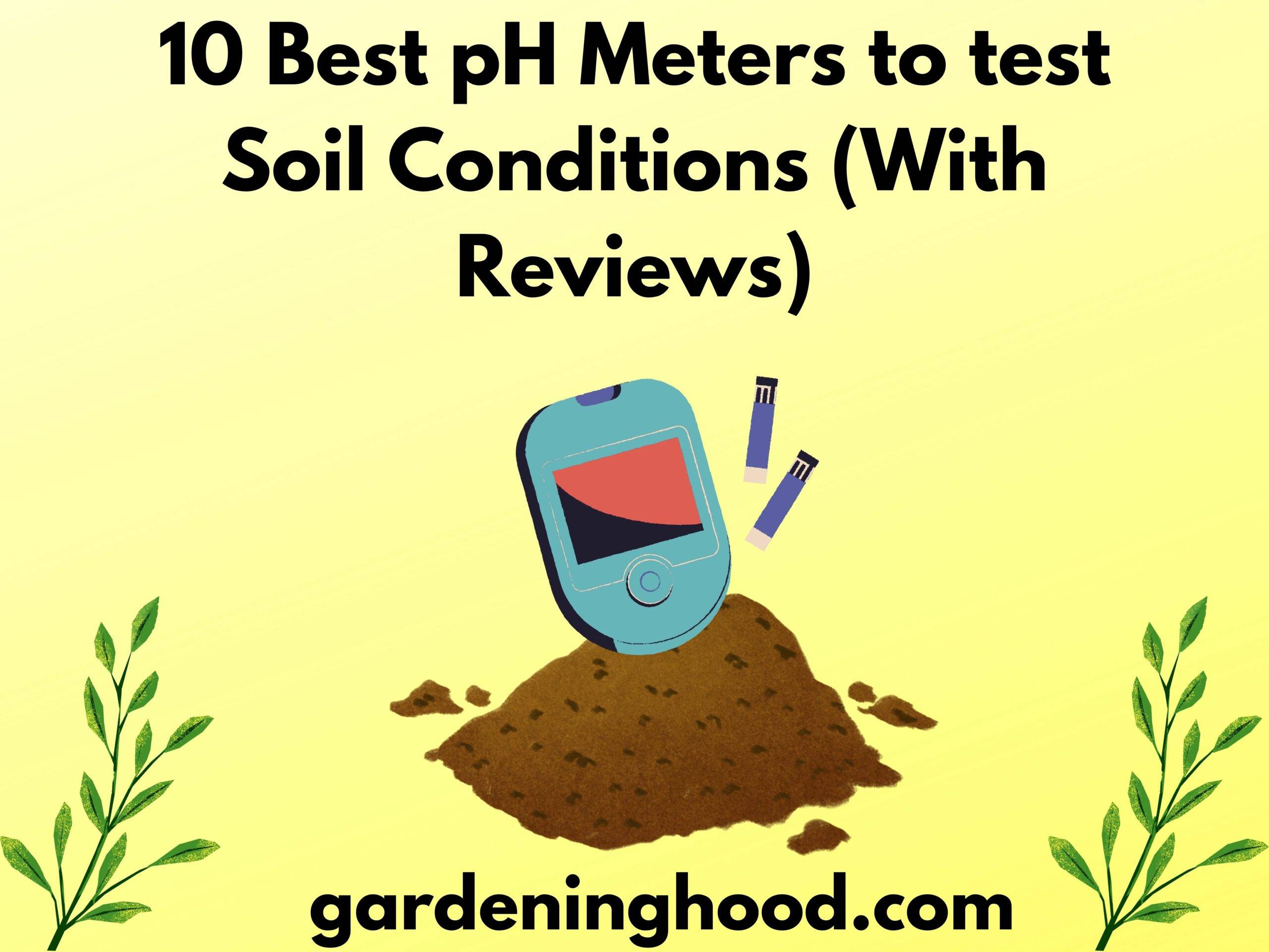 10 Best pH Meters to test Soil Conditions (With Reviews)
