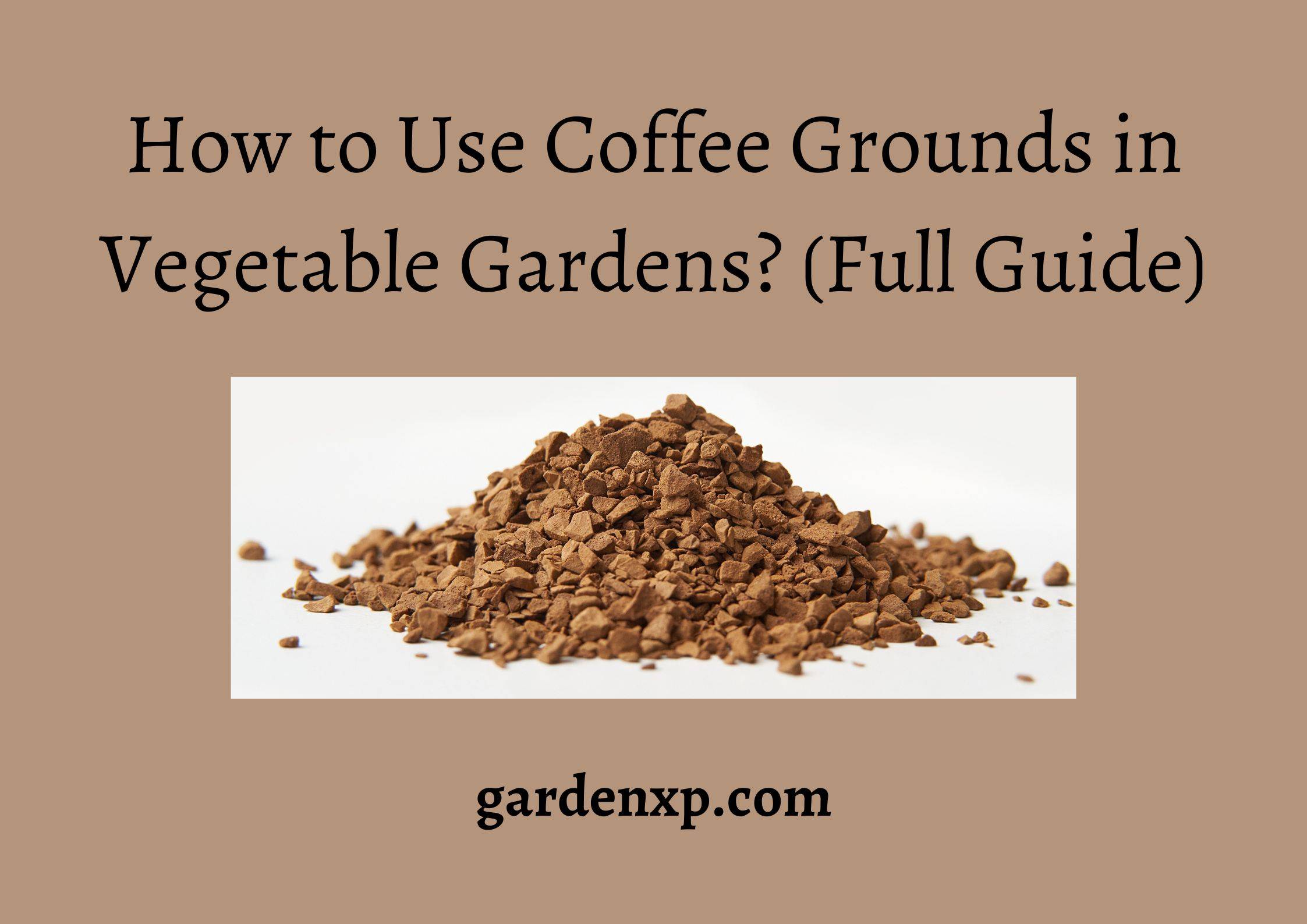 How to Use Coffee Grounds in Vegetable Gardens? (Full Guide)