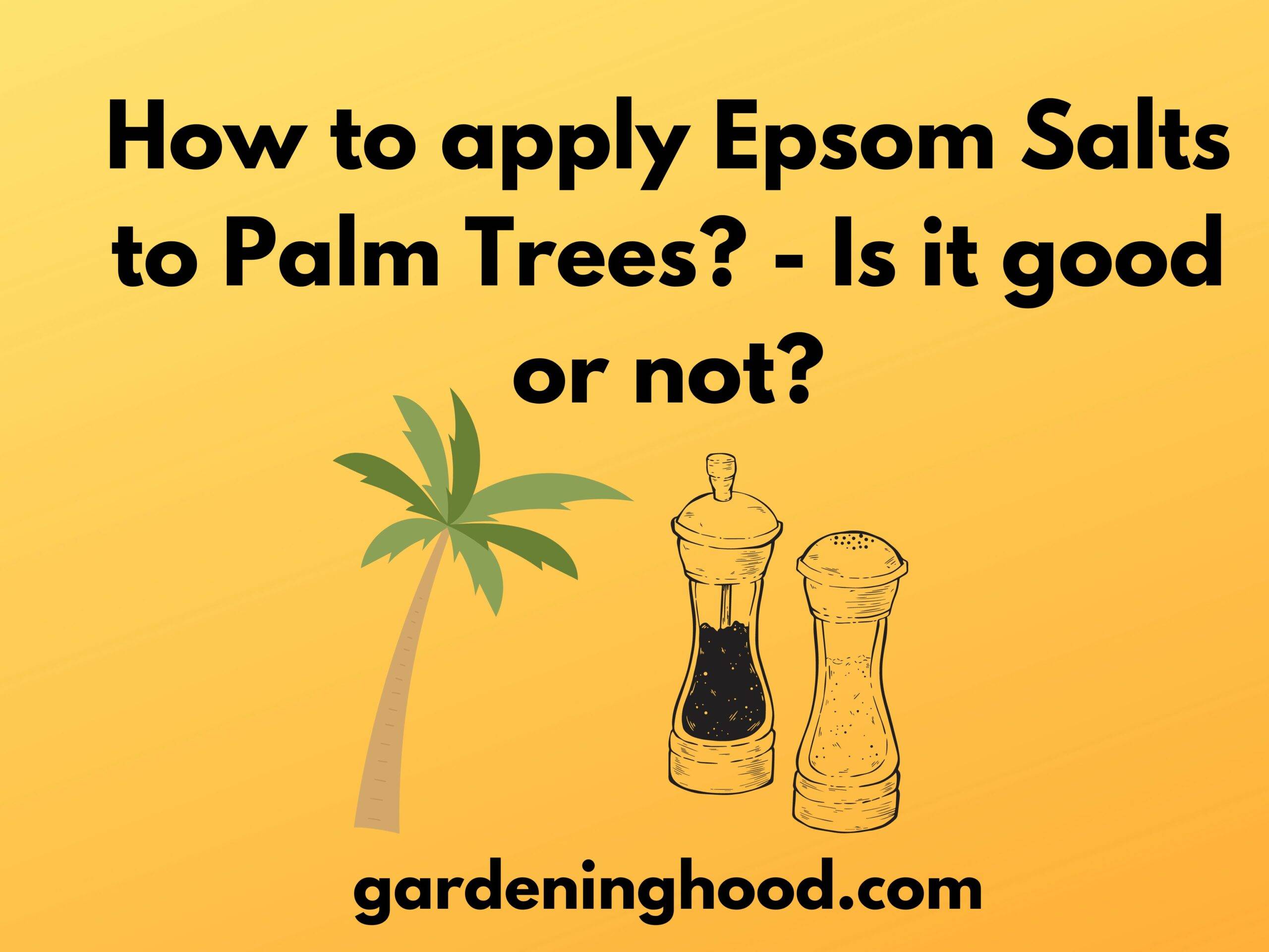 How to apply Epsom Salts to Palm Trees? - Is it good or not?