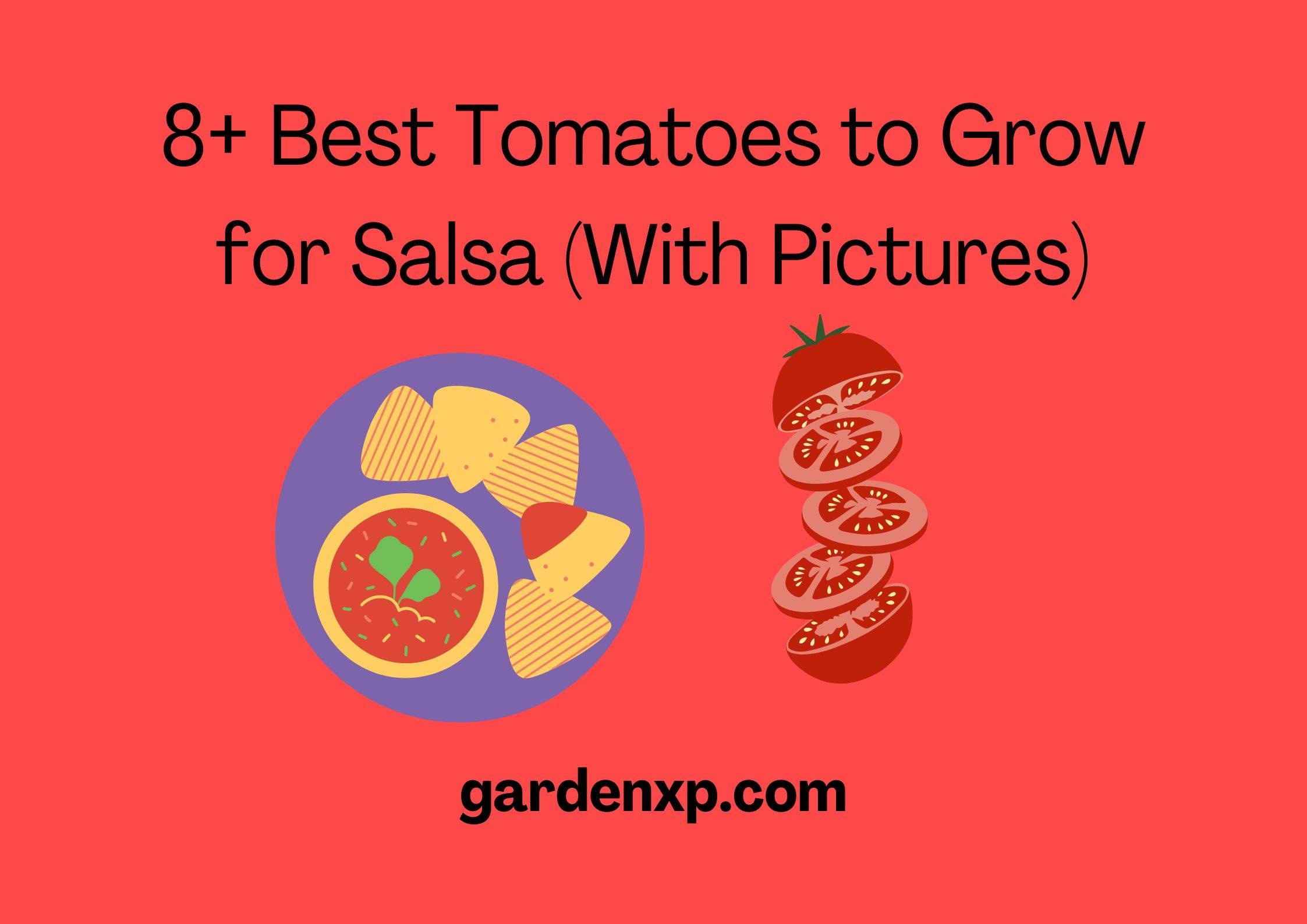 <strong>8+ Best Tomatoes to Grow for Salsa (With Pictures)</strong>