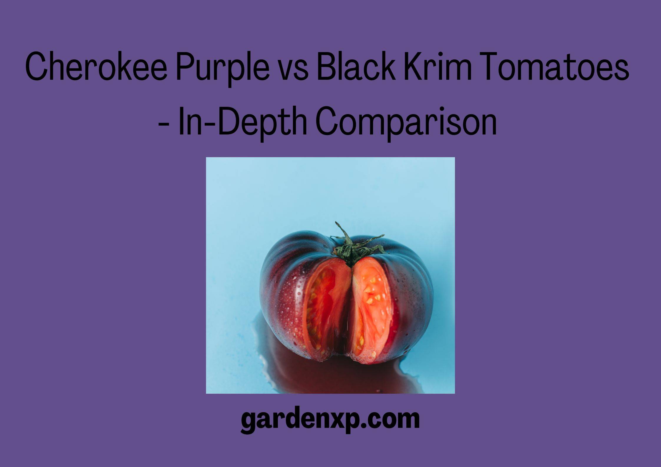 Cherokee Purple vs Black Krim Tomatoes - In-Depth Comparison