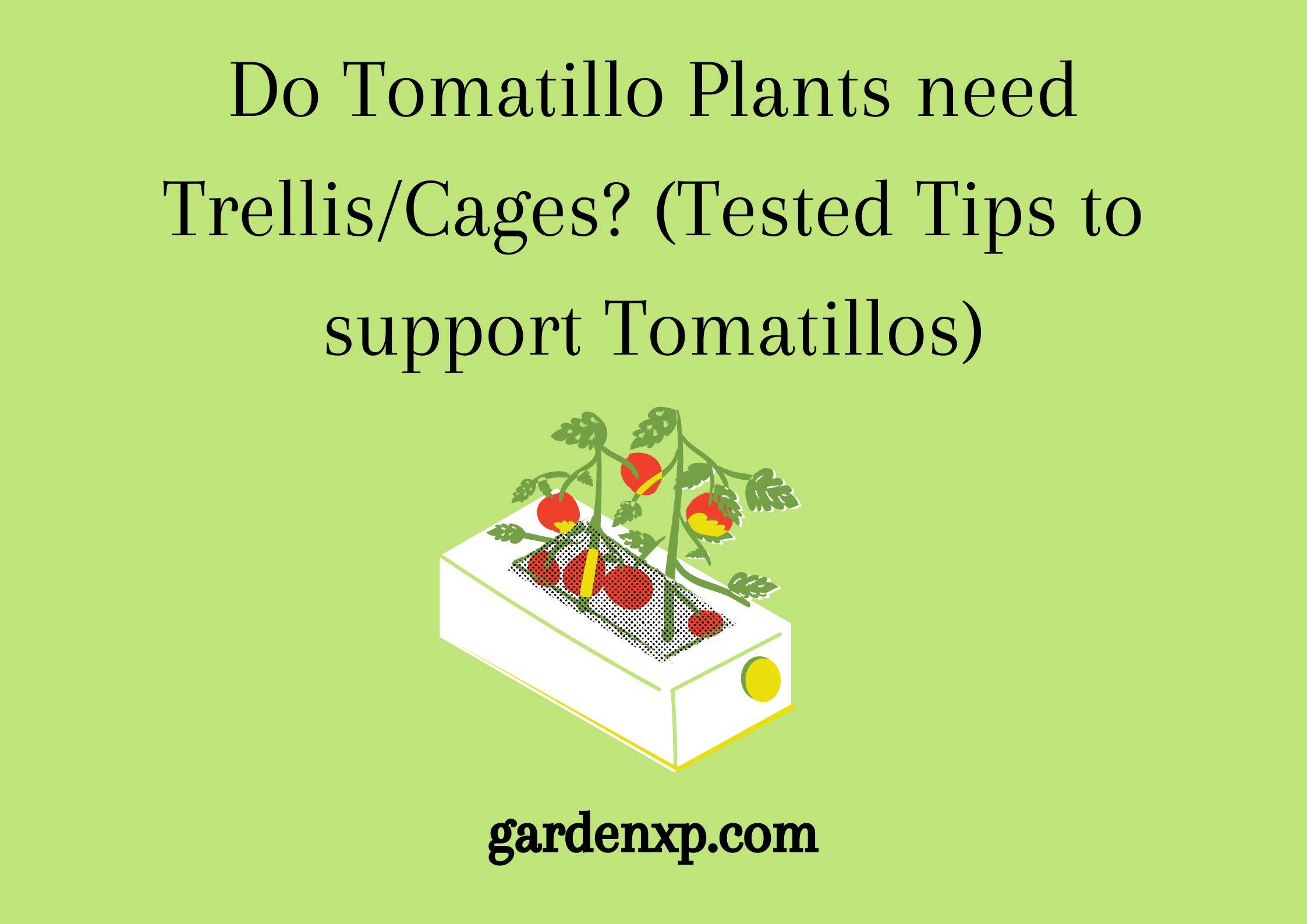 Do Tomatillo Plants need Trellis/Cages? (Tested Tips to support Tomatillos)