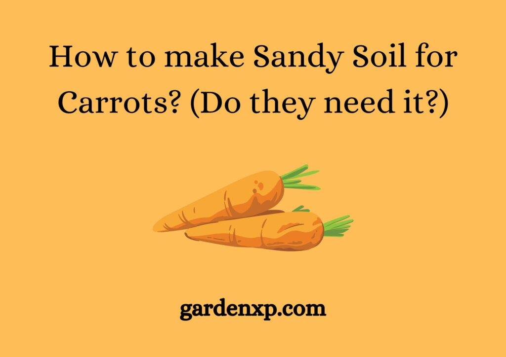 How to make Sandy Soil for Carrots? (Do they need it?)
