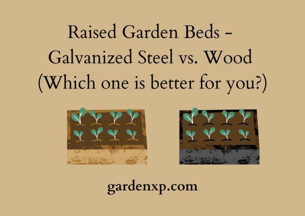 Raised Garden Beds - Galvanized Steel vs. Wood (Which one is better for you?)