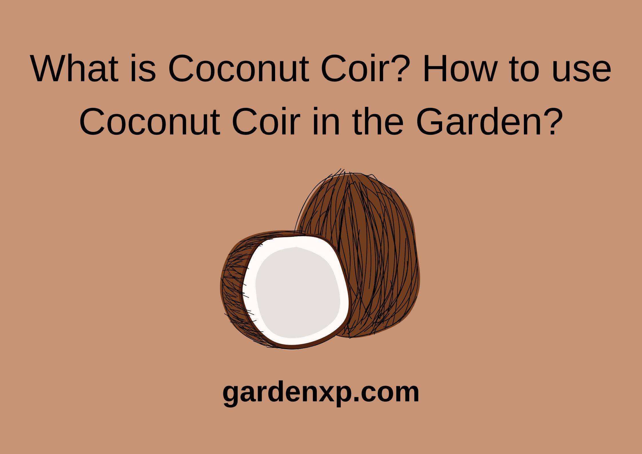 What is Coconut Coir? How to use Coconut Coir in the Garden?