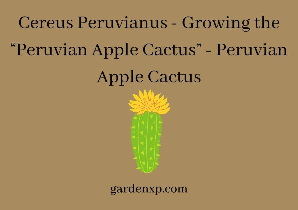 Cereus Peruvianus - Growing the “Peruvian Apple Cactus” - Peruvian Apple Cactus