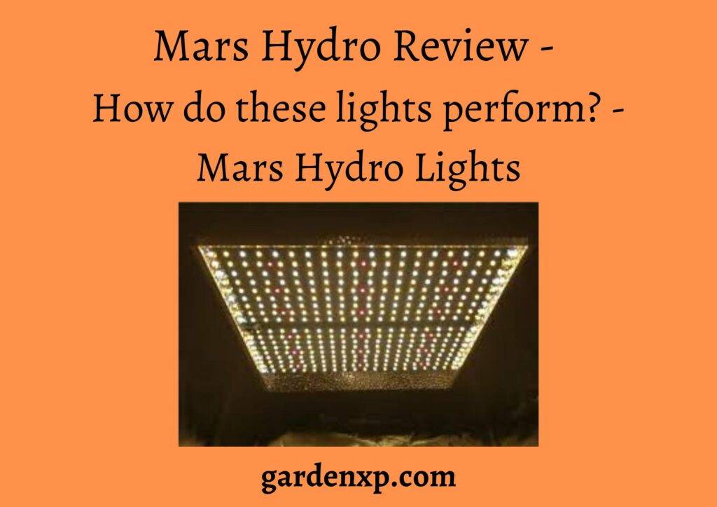 Mars Hydro Review - How do these lights perform? - Mars Hydro Lights
