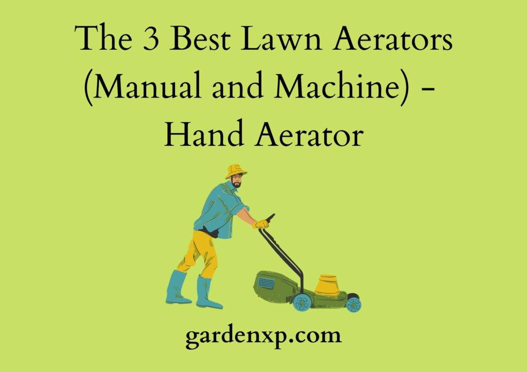 The 3 Best Lawn Aerators (Manual and Machine) - Hand Aerator