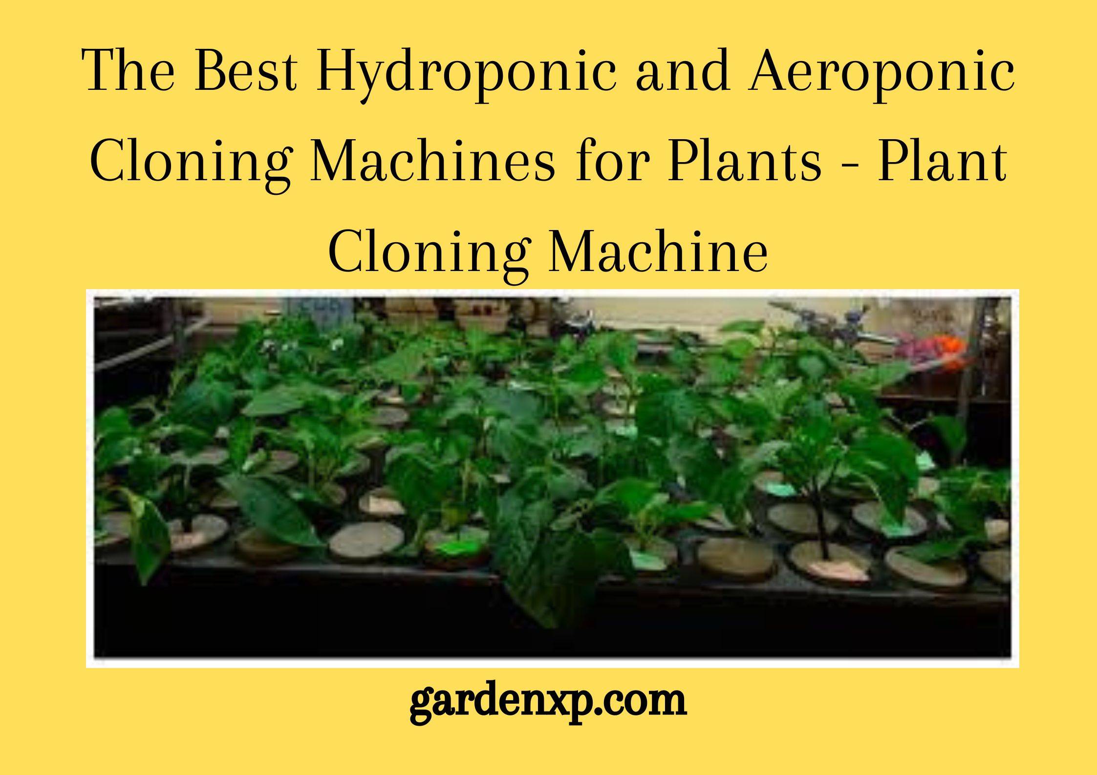 The Best Hydroponic and Aeroponic Cloning Machines for Plants - Plant Cloning Machine