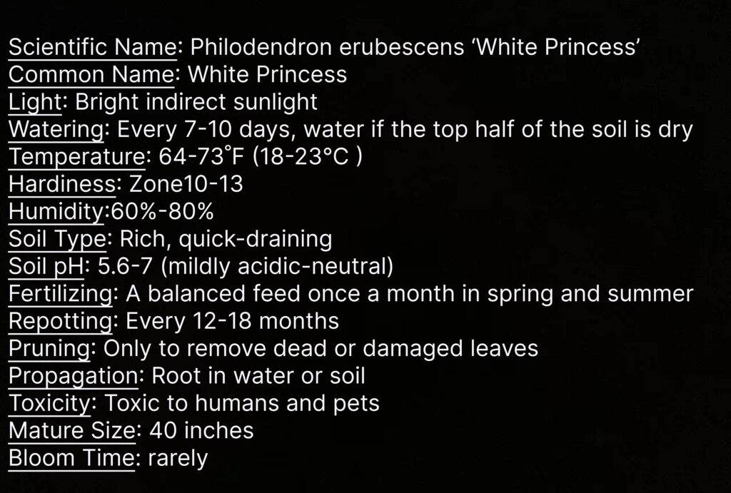 How to Grow & Care for Philodendron 'White Princess