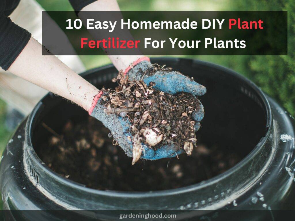 10 Easy Homemade DIY Plant Fertilizer For Your Plants 