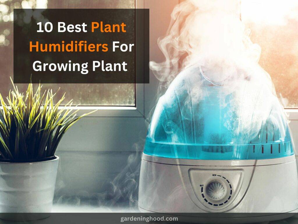 10 Best Plant Humidifiers For Growing Plant 